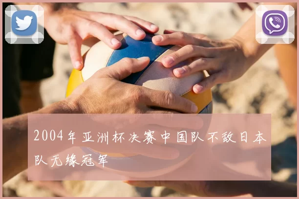 2004年亚洲杯决赛中国队不敌日本队无缘冠军
