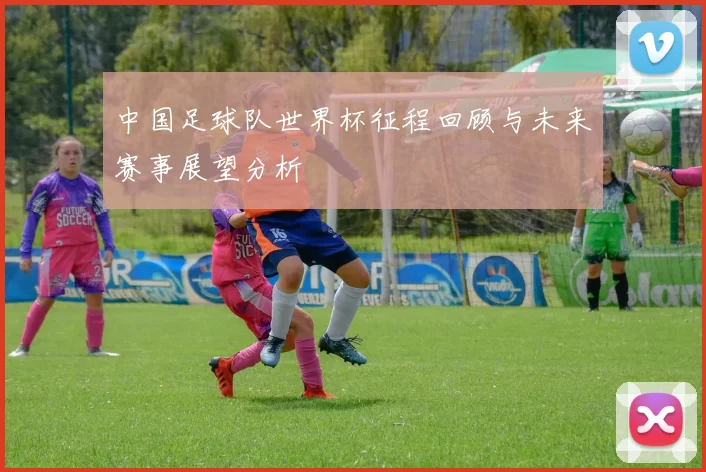中国足球队世界杯征程回顾与未来赛事展望分析