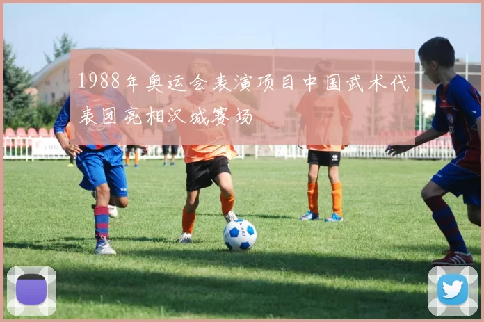 1988年奥运会表演项目中国武术代表团亮相汉城赛场