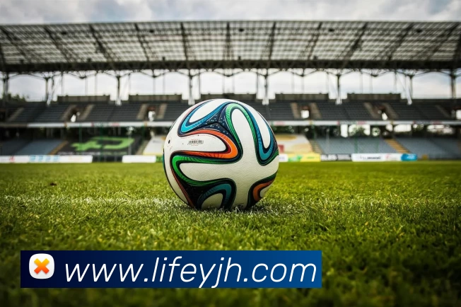 世界杯直播入口官网平台生态图